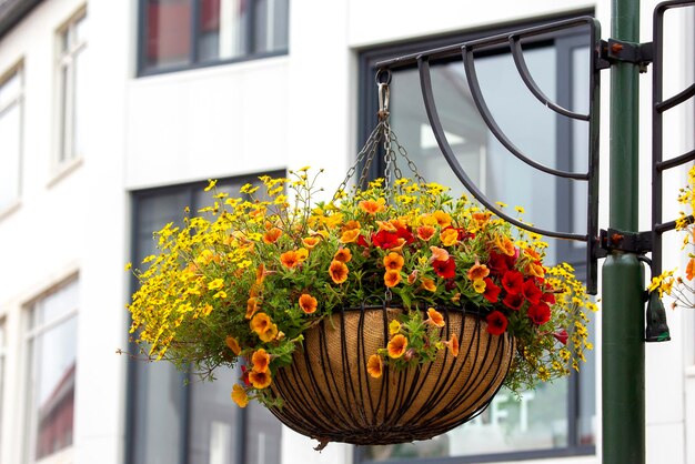 Hanging flowers on the pillars of Reykjavik Iceland