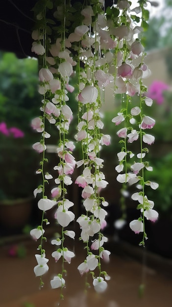 Hanging flowers in a pot