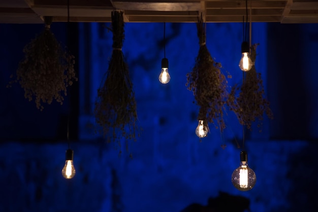 Hanging glowing led bulbs