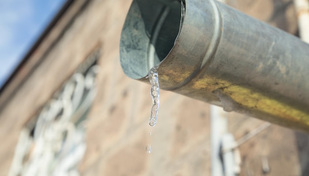 Hanging icicles on the edge of the pipe