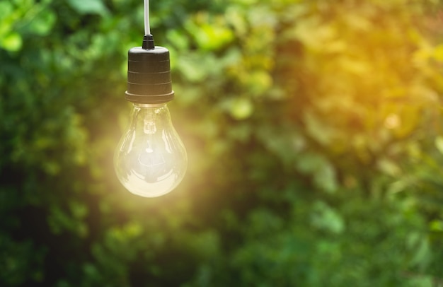 Photo hanging light bulbs with glowing one