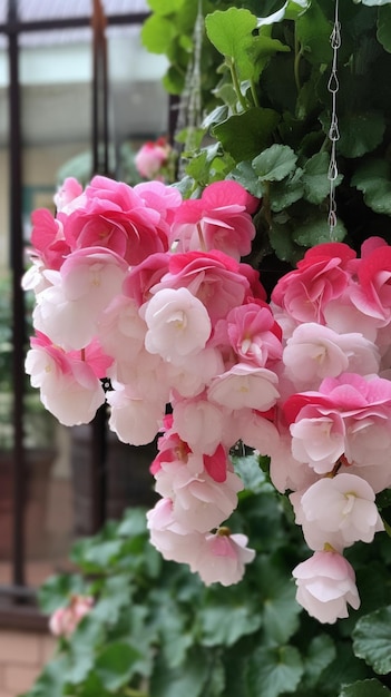 A hanging plant with pink flowers