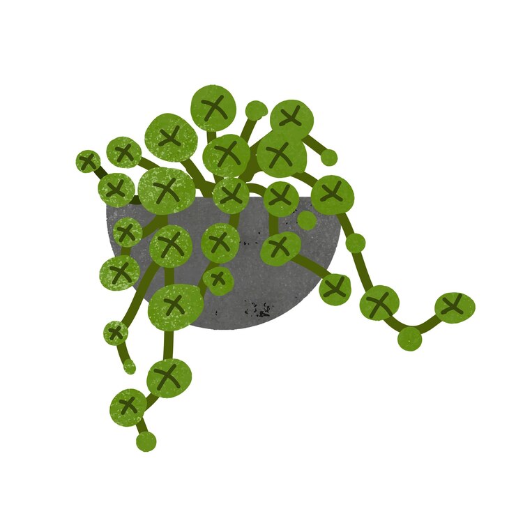 Photo hanging png plant sticker home decor illustration transparent background