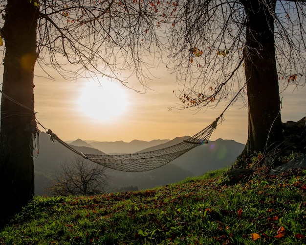 Hangmat opgehangen tussen twee bomen