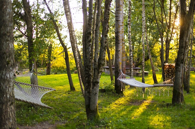 Hangmatten op boomstammen in de lentetuin in landelijke resort