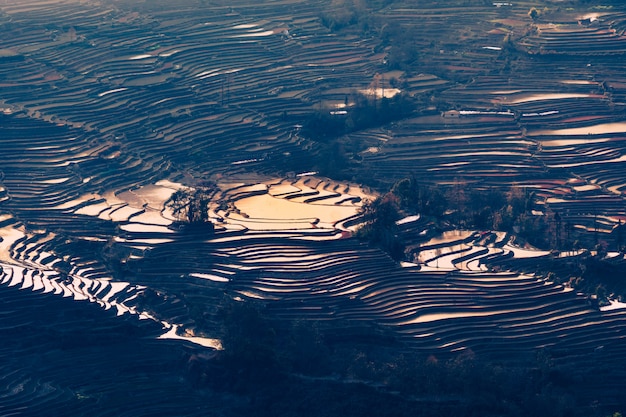 황금 시간 동안 중국 위 안양의 Hani Terraced 논