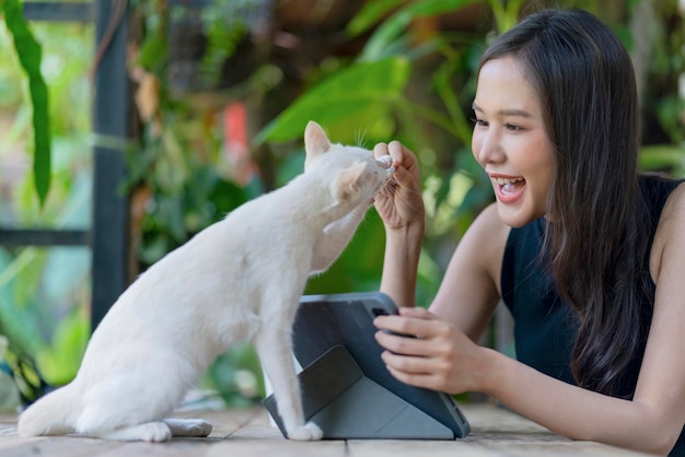 幸福の猫の所有者アジアの女性の女性の手ペットは、家で庭でリラックスしながら座っている間、彼女の白猫を抱きしめます庭で彼女の猫と遊んでいる若いアジアの女性