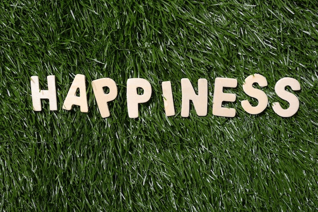 Happiness Wooden Sign On Grass