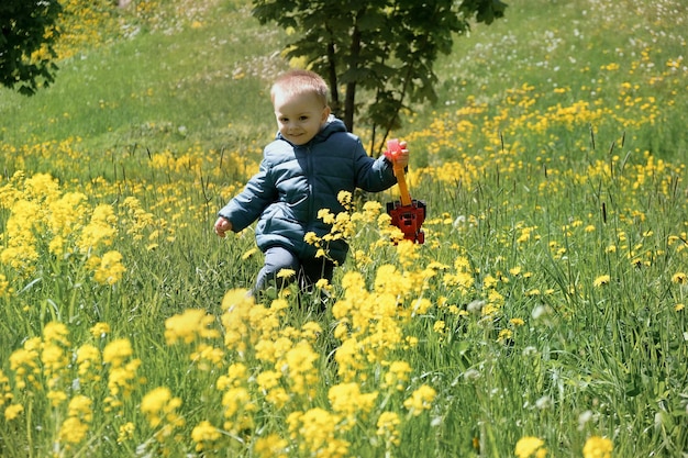 Happy active toddler boy walking through blooming yellow meadow in spring