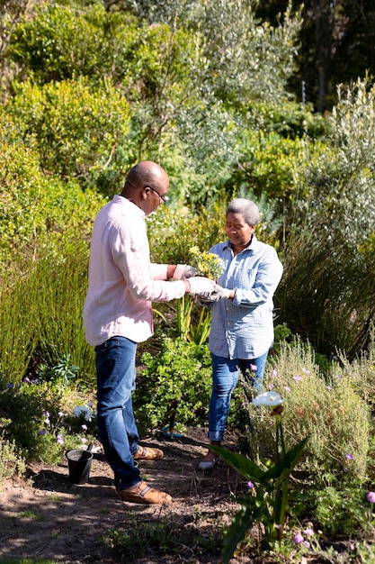 Happy african american senior couple gardening, holding flowers outdoors