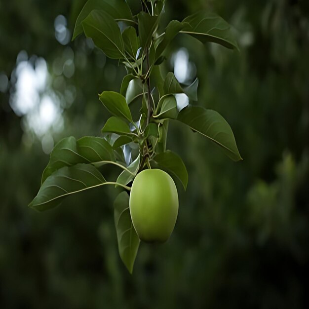 happy apple day