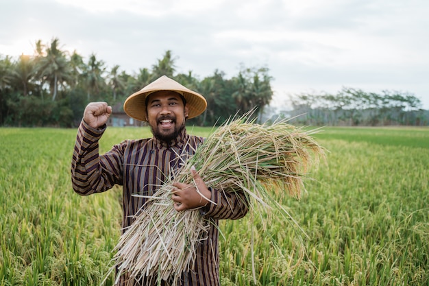 Happy Asian farmer holding rice grains in the field