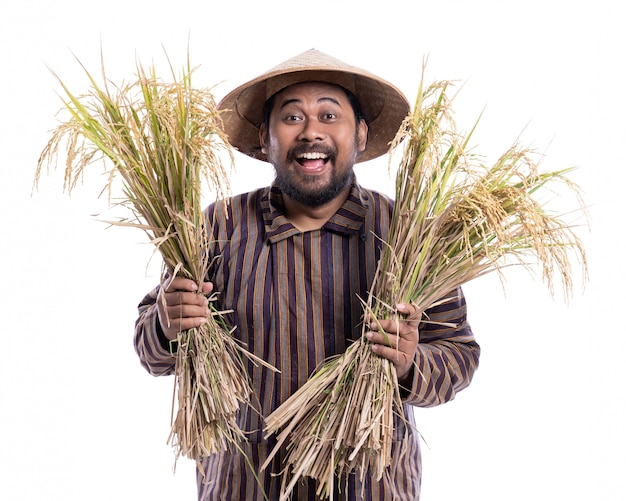 Happy asian farmer holding rice grains