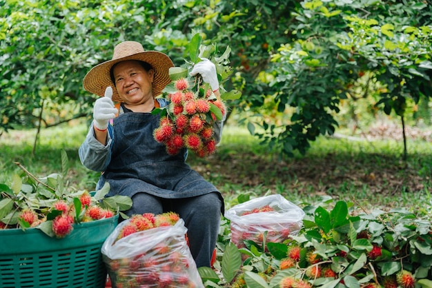 幸せなアジアの農家の女性は、ランブータンガーデンで新鮮なランブータンを親指を立てて保持します有機フルーツ農業の概念
