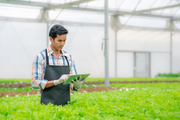 디지털 태블릿을 사용하여 수경 온실 야채 샐러드 농장 시스템을 제어하는 행복한 아시아 남자 농부
