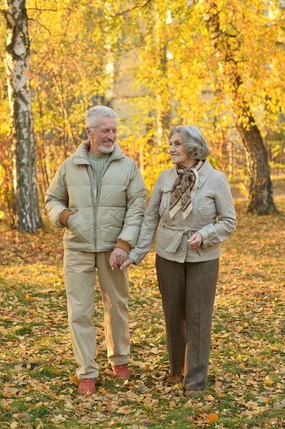 秋の公園で幸せな美しい年配のカップル