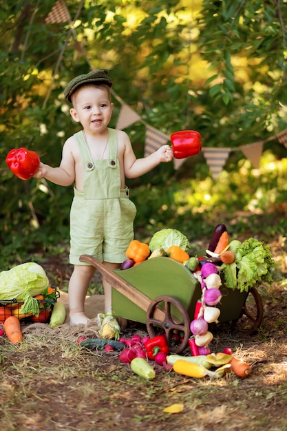 幸せな少年は自然の中で野菜のサラダを準備します