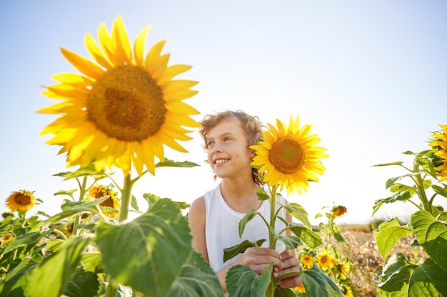 Happy boy with curly hair standing among blooming yellow sunflowers on countryside field and looking away on sunny summer day