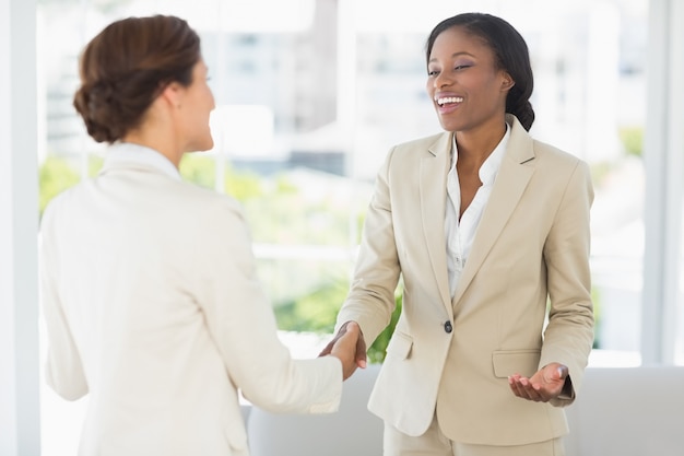 Happy businesswomen meeting and shaking hands