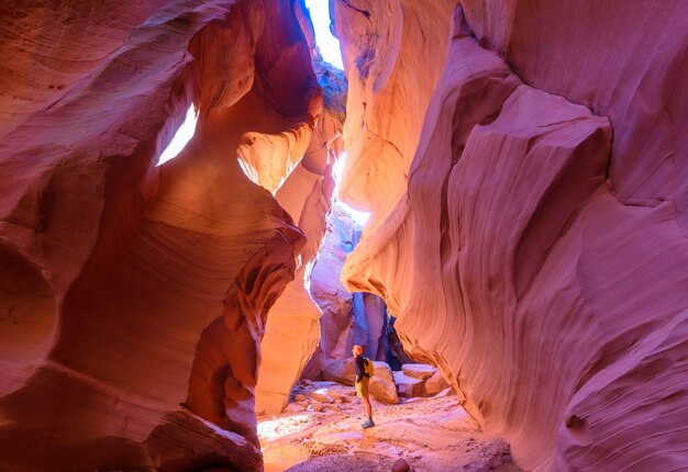 Scena fantastica di happy canyon. insolite formazioni di arenaria colorata nei deserti dello utah sono una destinazione popolare per gli escursionisti.