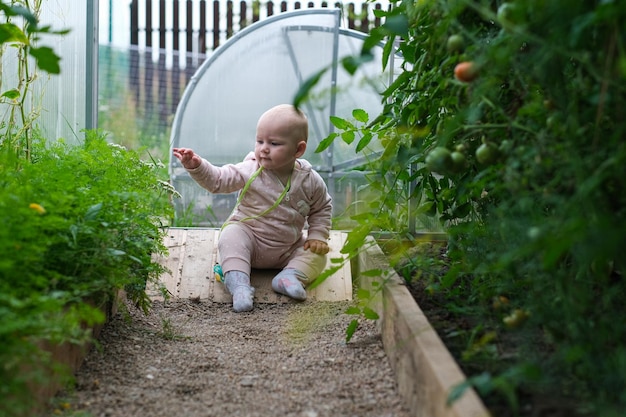 초록색 식물 의 배경 에 토마토 를 들고 있는 행복 한 소녀