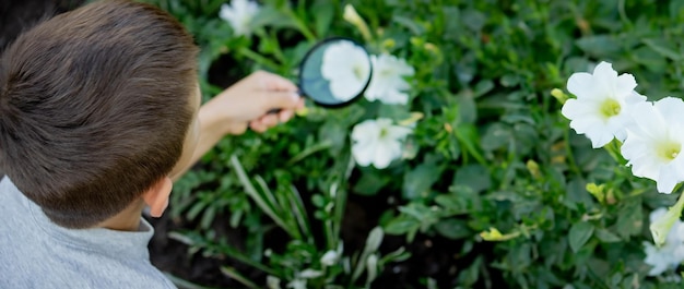 A happy child is looking into a magnifying glass enjoying a sunny day in summer