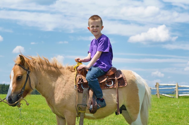 happy child ride farm animal brown pony with blue sky in background and beautiful nature