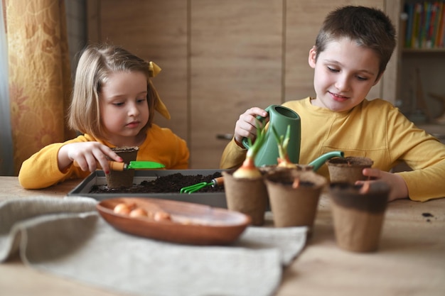 写真 幸せな子供たちは家に植物を植えています女の子と男の子は自然の植木鉢に種をまきます