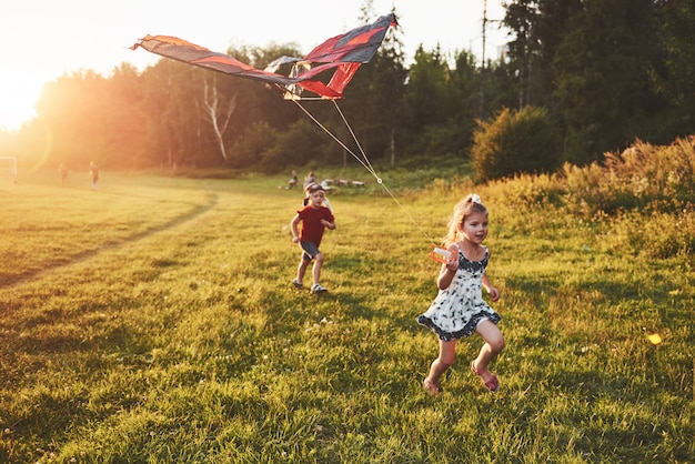Счастливые дети запускают змея в поле на закате. Маленький мальчик и девочка на летних каникулах