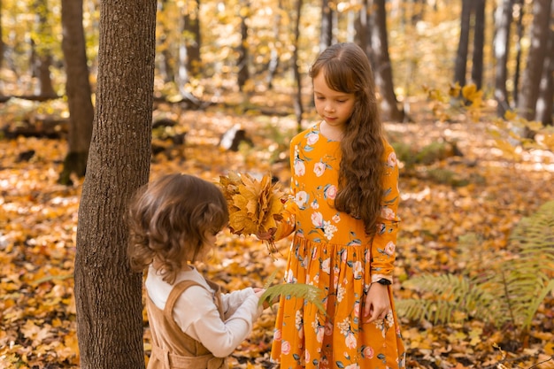 Happy children playing in beautiful autumn park on warm sunny fall day Little sisters play with golden maple leaves fun leisure and childhood concept