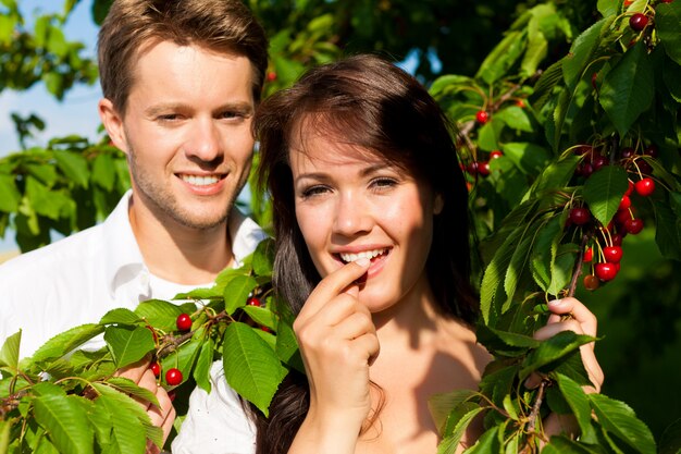 Happy couple eating cherries from cherry tree