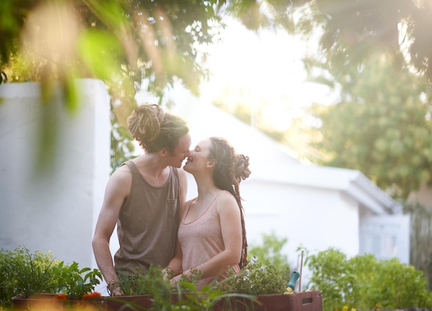 写真 ハッピーカップルキス ガーデンで植物の収と成長のためのハーブの持続性 人間 男性と女性 笑顔で野菜の世話 関係の結びつきとデート