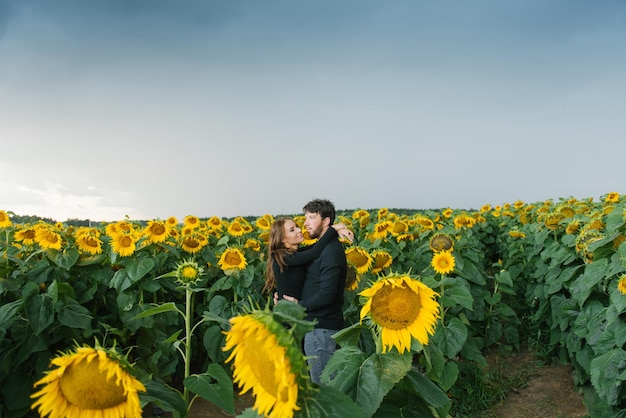 A happy couple in love are walking in summer among sunflowers