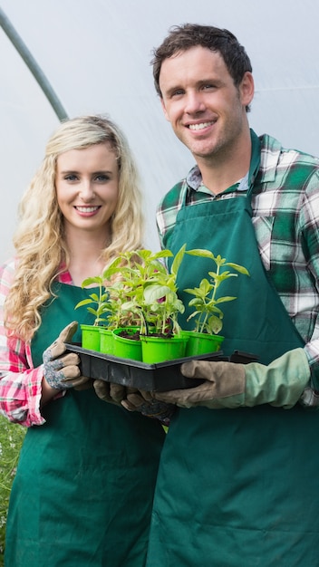 小さな植物のカートンを示す幸せなカップル