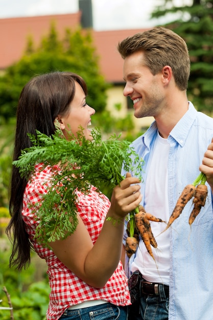 Happy couple in their garden harvesting carrots