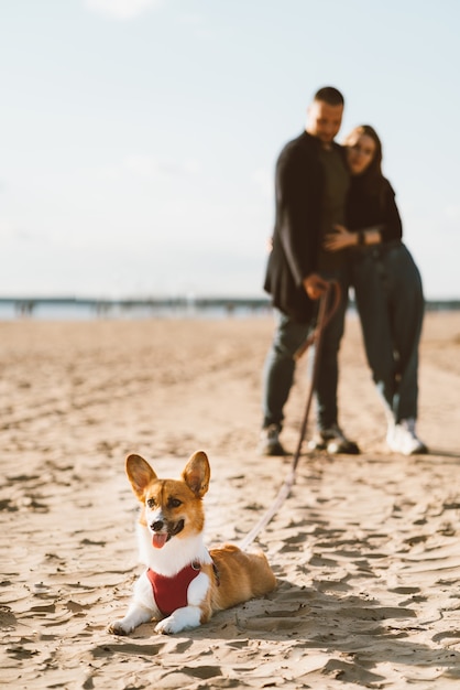 Happy couple walking in beach with dog.