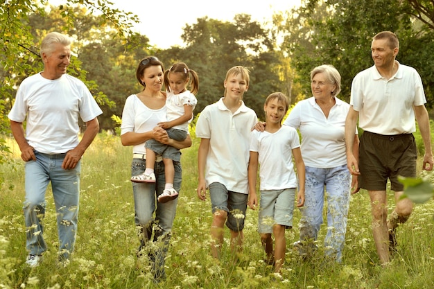 Happy cute family walking in summer forest