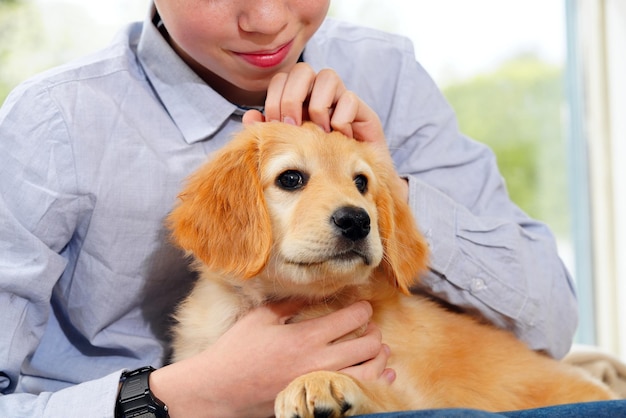 Happy cute puppy resting in the arms of a child a dream come true portrait of cute puppy