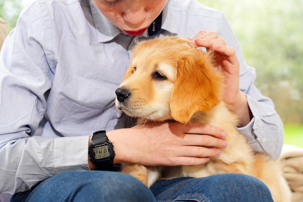 子供の腕の中で休んでいる幸せなかわいい子犬夢が叶うかわいい子犬の肖像画