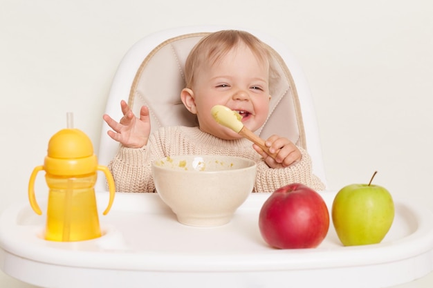 Happy delighted little female baby girl wearing beige sweater sitting in high chair and eating puree or porridge holding spoon and laughing learning to eat on her own isolated over white background