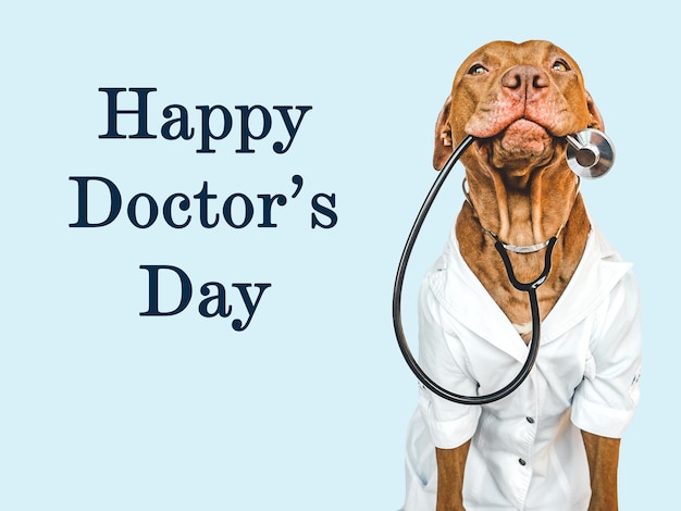 Photo happy doctor's day lovable pretty puppy closeup