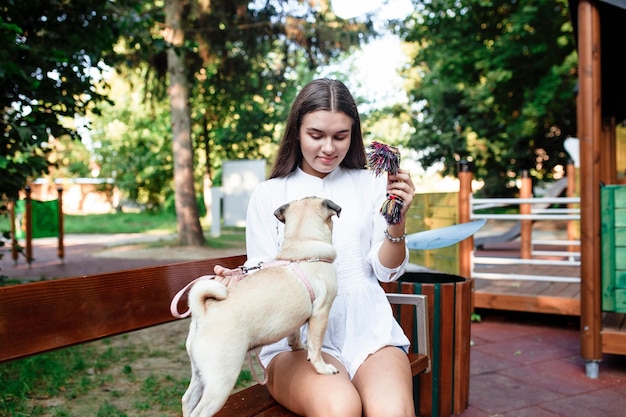 Happy dog and girl The girl is playing with a dog Young woman walking with a pug dog in summer park Portrait of a pug Portrait of a beautiful pug puppy The dog is lying on the ground