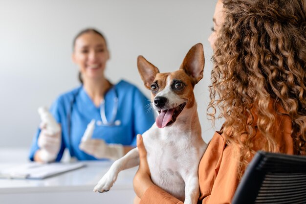 Happy dog at the vet with owner positive veterinary visit