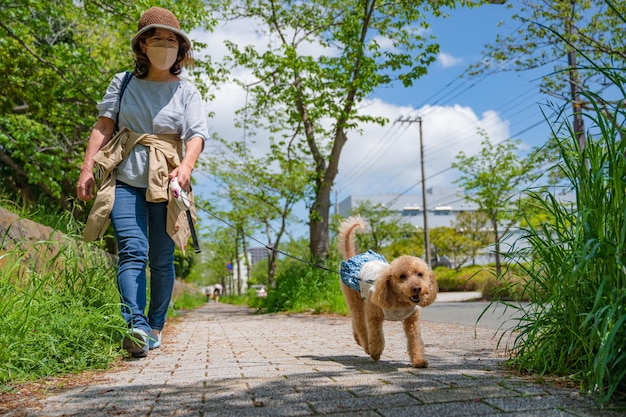 산책에 행복 한 개