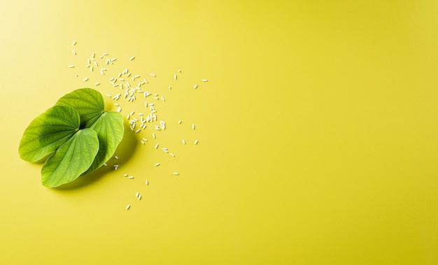 Happy Dussehra concept. Green leaf and rice on yellow pastel background