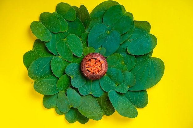 Photo happy dussehra greeting card , green apta leaf and rice, indian festival dussehra