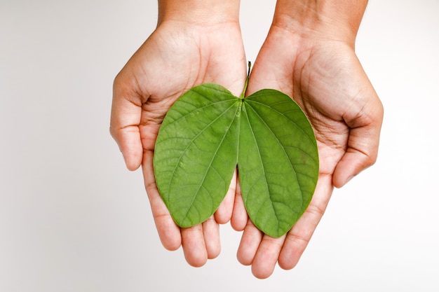 Happy Dussehra with green leaf on Hand