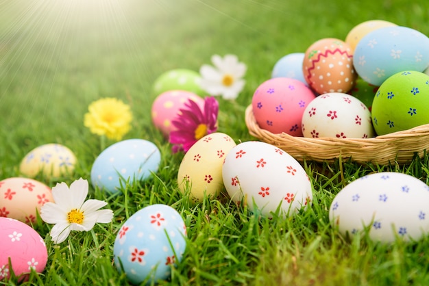 Happy easter!  Colorful Easter eggs in nest on green grass field during sunset