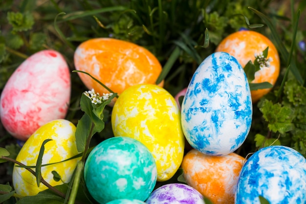 Happy Easter colorful eggs and flowers Grass and land