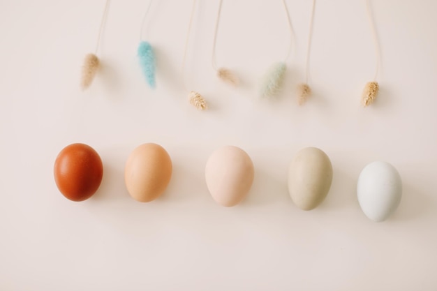 Happy Easter concept Fresh chicken eggs of natural shades and colors on a white background